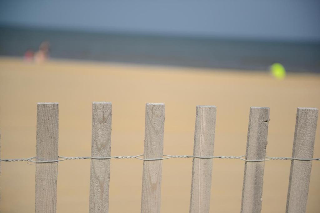 Beach House Dewey Dewey Beach Bagian luar foto